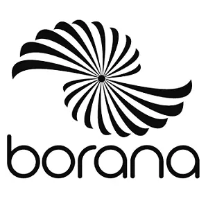 Logo Cliente Borana